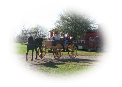 Old Fashioned Buggy Ride